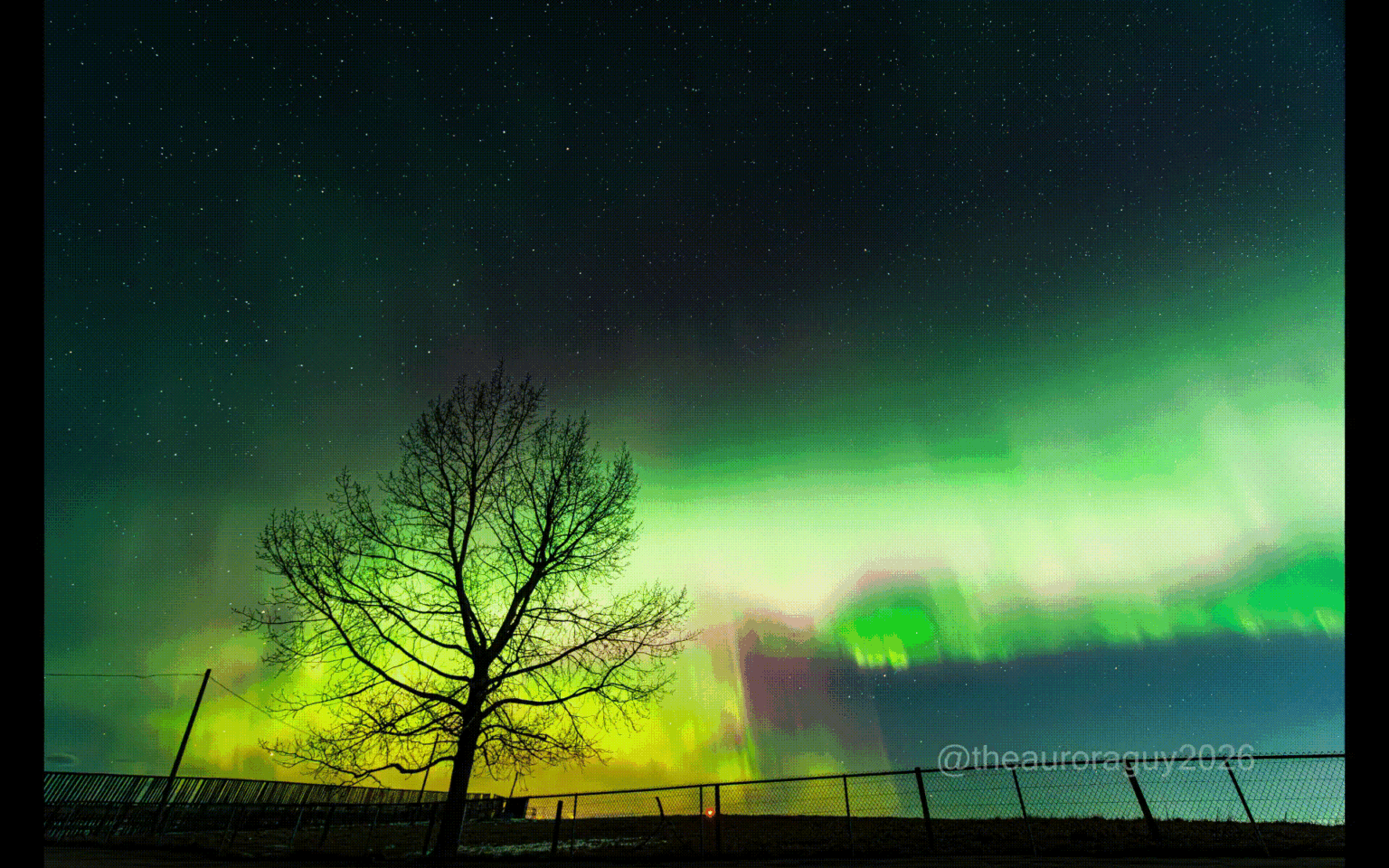Aurora West of Calgary yesterday. By Harlan Thomas