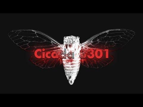 What is your take on Cicada 3301 guys?