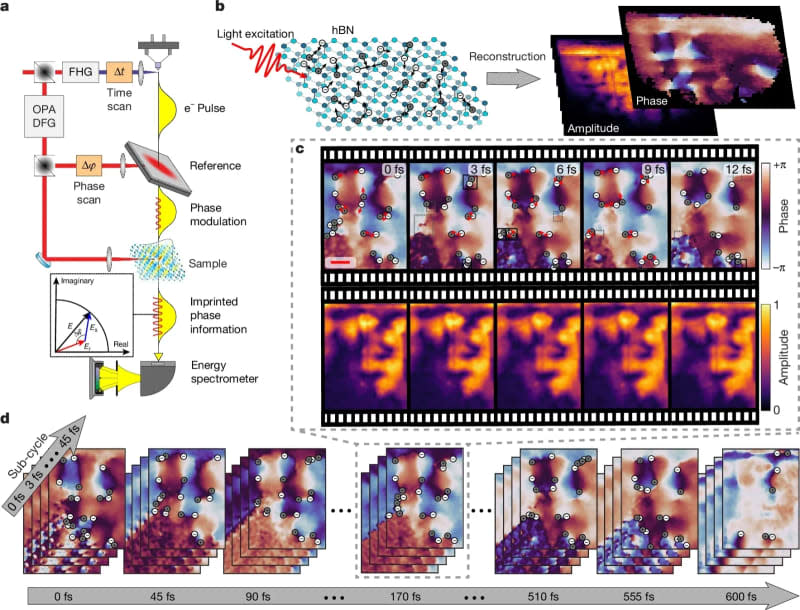 Deep sub-wavelength and deep sub-cycle imaging of optical phase singularities in hBN, recording both phase and group dynamics. (CREDIT: Nature)