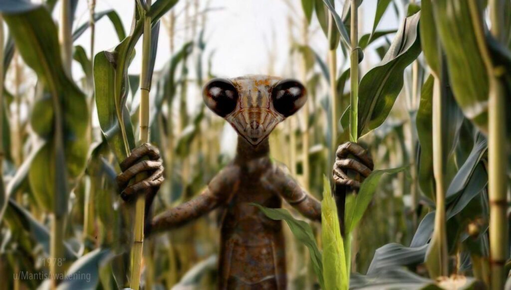 [Serious] I saw this when I was six. AMA