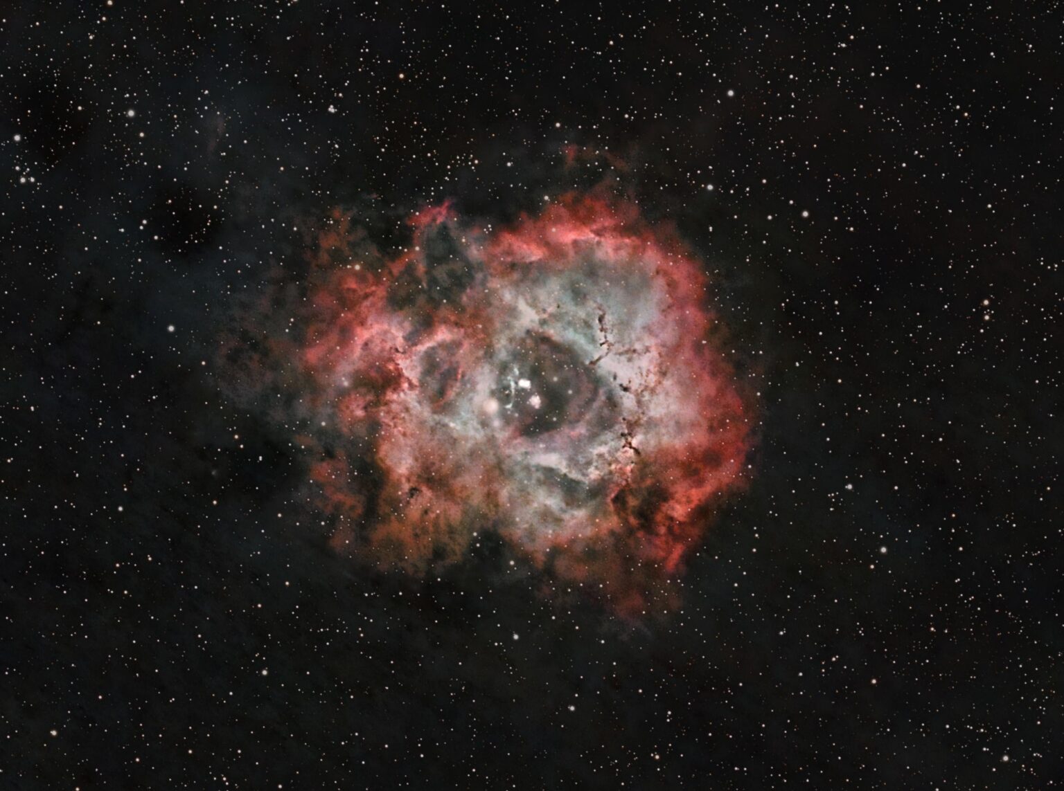 Rosette Nebula