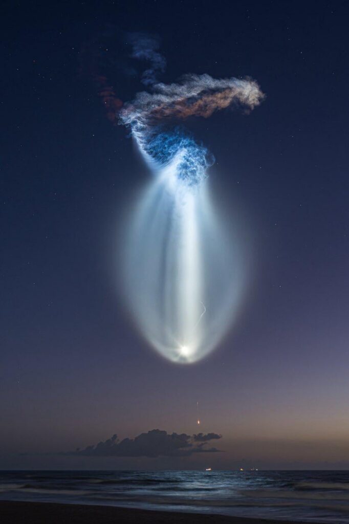 Today's Space Jellyfish