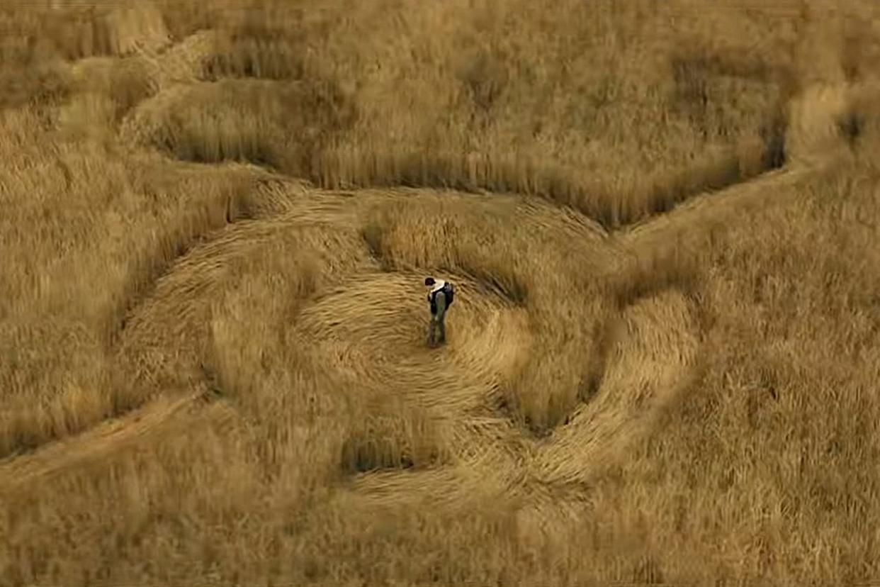 'Disclosure Day'Credit: Universal Pictures