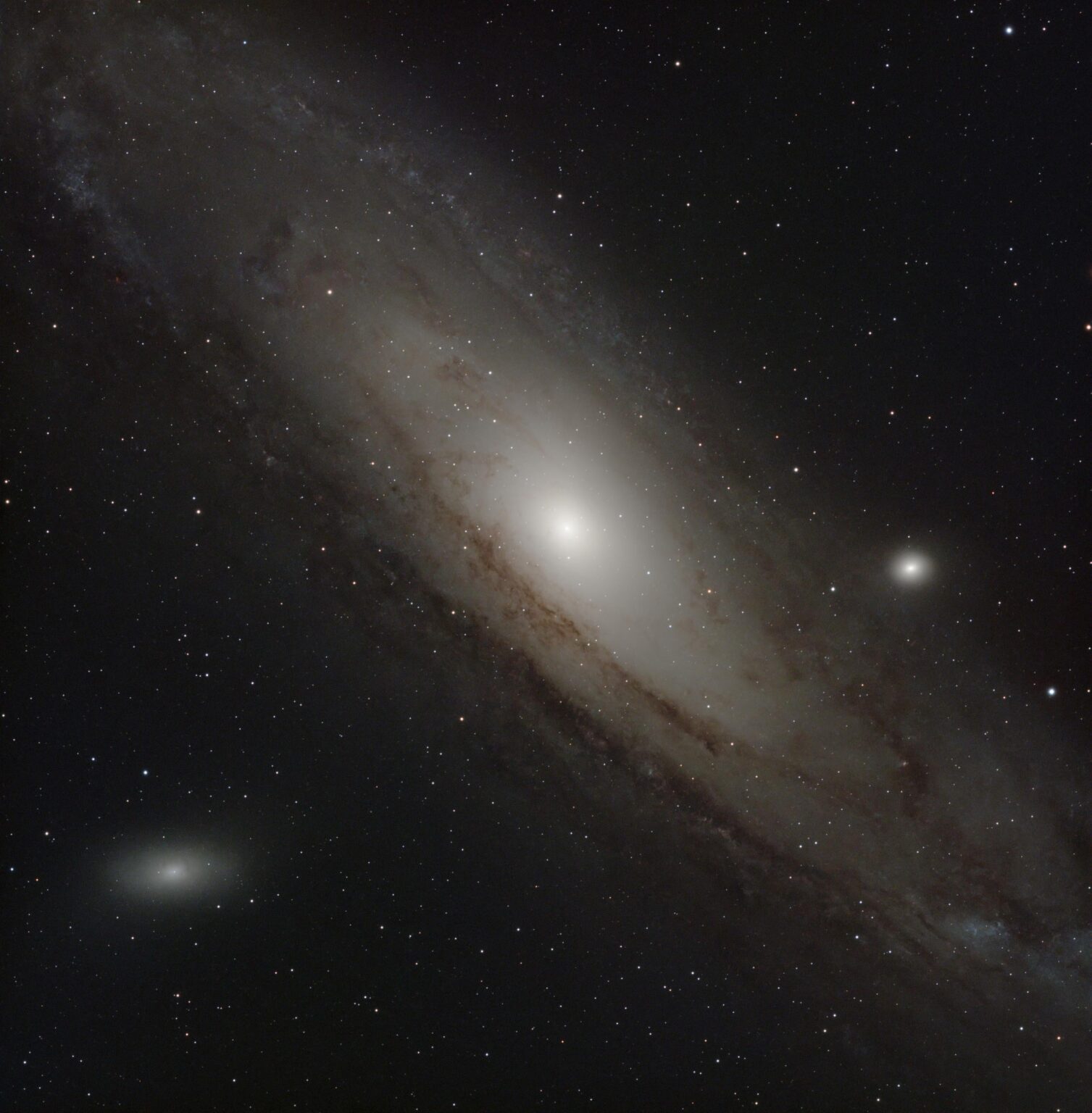 Andromeda Galaxy & Friends