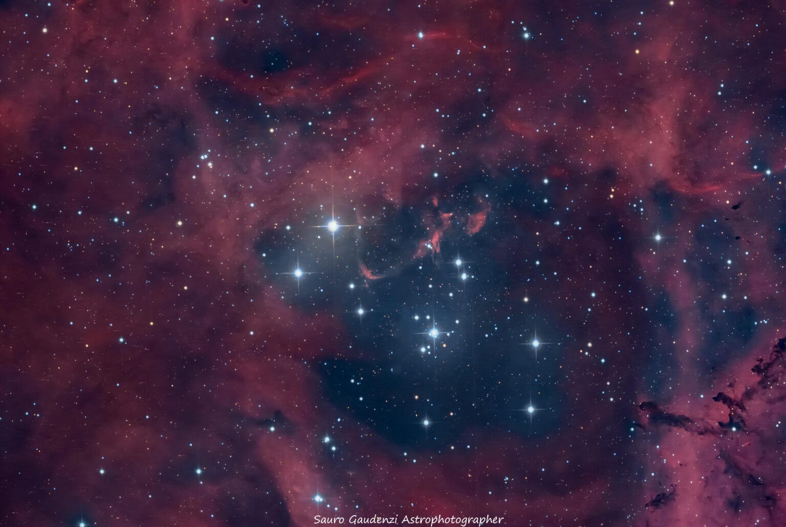 NGC 2244, Open Cluster in the Rosette Nebula