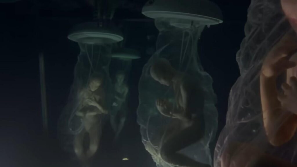 Secret Alien-Human Hybrid Breeding Program Exists? Matt Gaetz Claims US Army Briefed Him of the Project