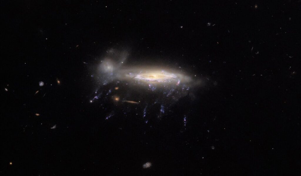 JWST Captures a Weird "Jellyfish" Galaxy With Trailing Tentacles of Baby Stars in the Early Universe