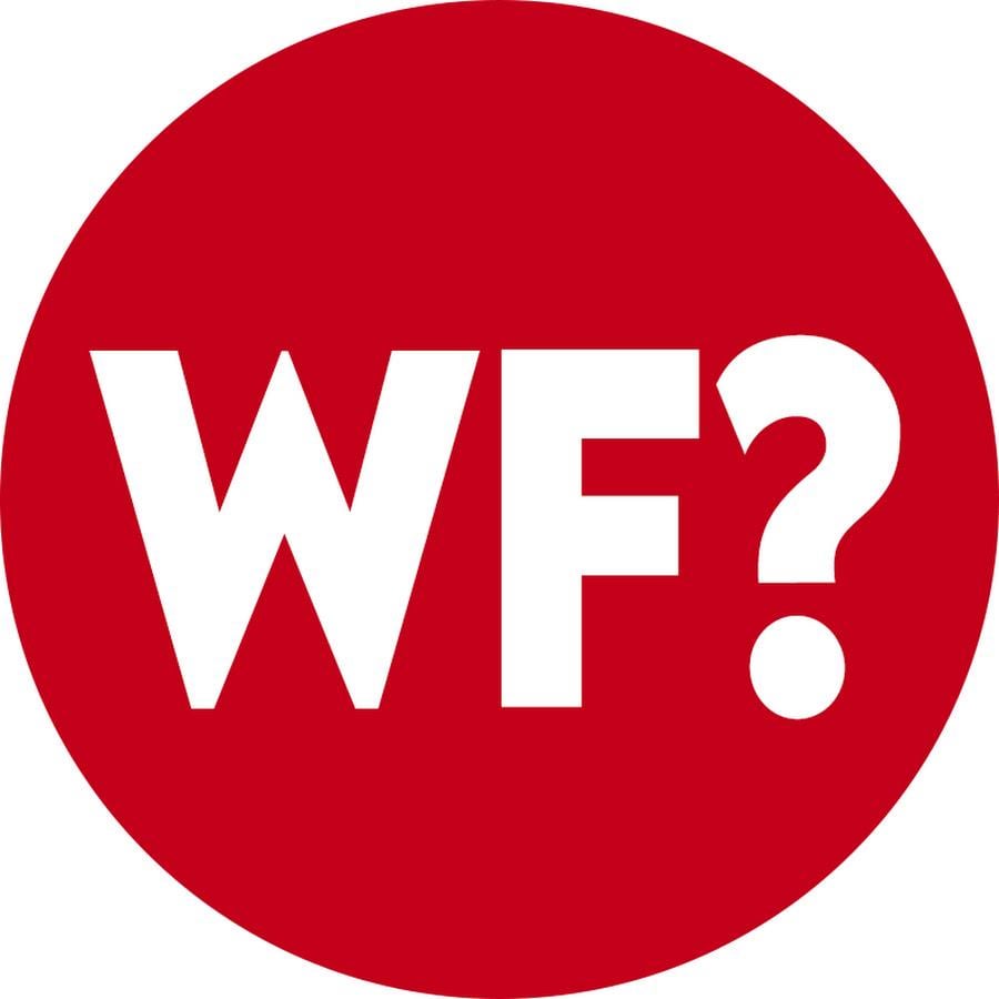 Does anyone here know of good YouTube channels like the The Why Files?