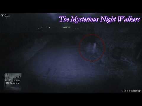 The Cryptic Files - Something Moving in the Dark