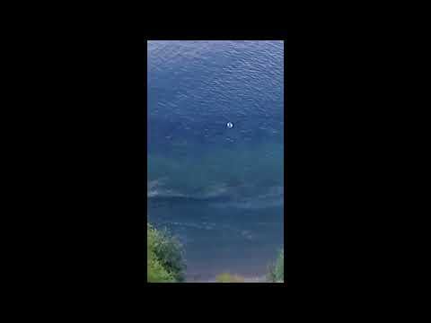 Incredible footage of UFO diving into water!