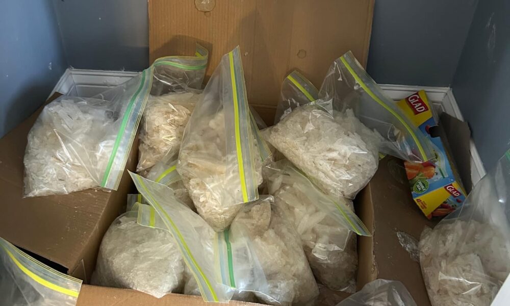 Four Illegal Aliens Face Federal Charges After Drug Busts Four Illegal Aliens Face Federal Charges After Drug Busts