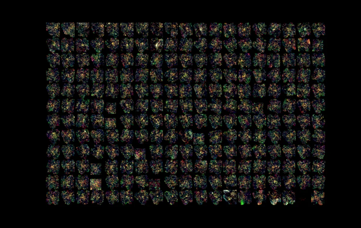 228 thumbnail images by the Planck satellite that show over-concentrations of far-away galaxies that could be the seeds of galaxy clusters we see today. By peering into the distant cosmos, Planck can see back in time, potentially revealing the birth of over 200 future galaxy clusters when the Universe was 3 billion years old. Credit: ESA/Herschel/SPIRE/Planck consortia and H. Dole, D. Guéry, IAS, CNRS, Université Paris-Saclay