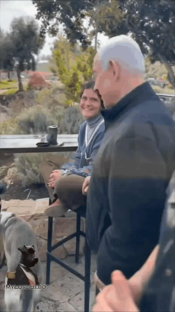 spooky disappearing rings