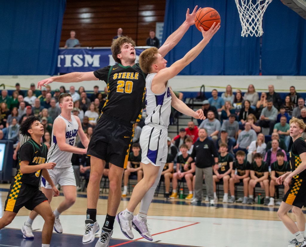 Comets shake off slow start, but fall to Bears in Division II district final – Morning Journal