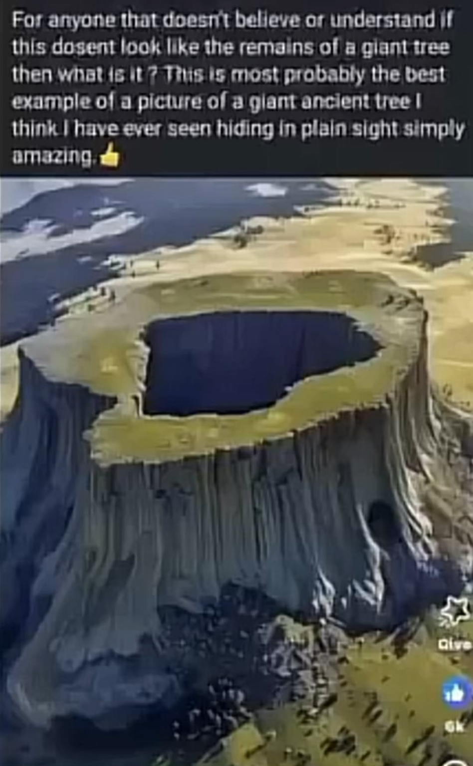 I have the same education as you. I just don’t believe what I was taught. I believe my own understanding of the Earth. These are giant trees. My God will be exalted on the Earth