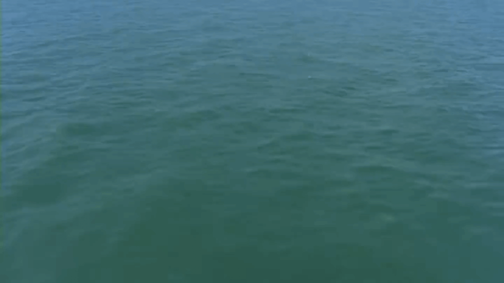 Henry III rebuilt Westminster Abbey, using it to glorify his dynasty and his royal ambitions!