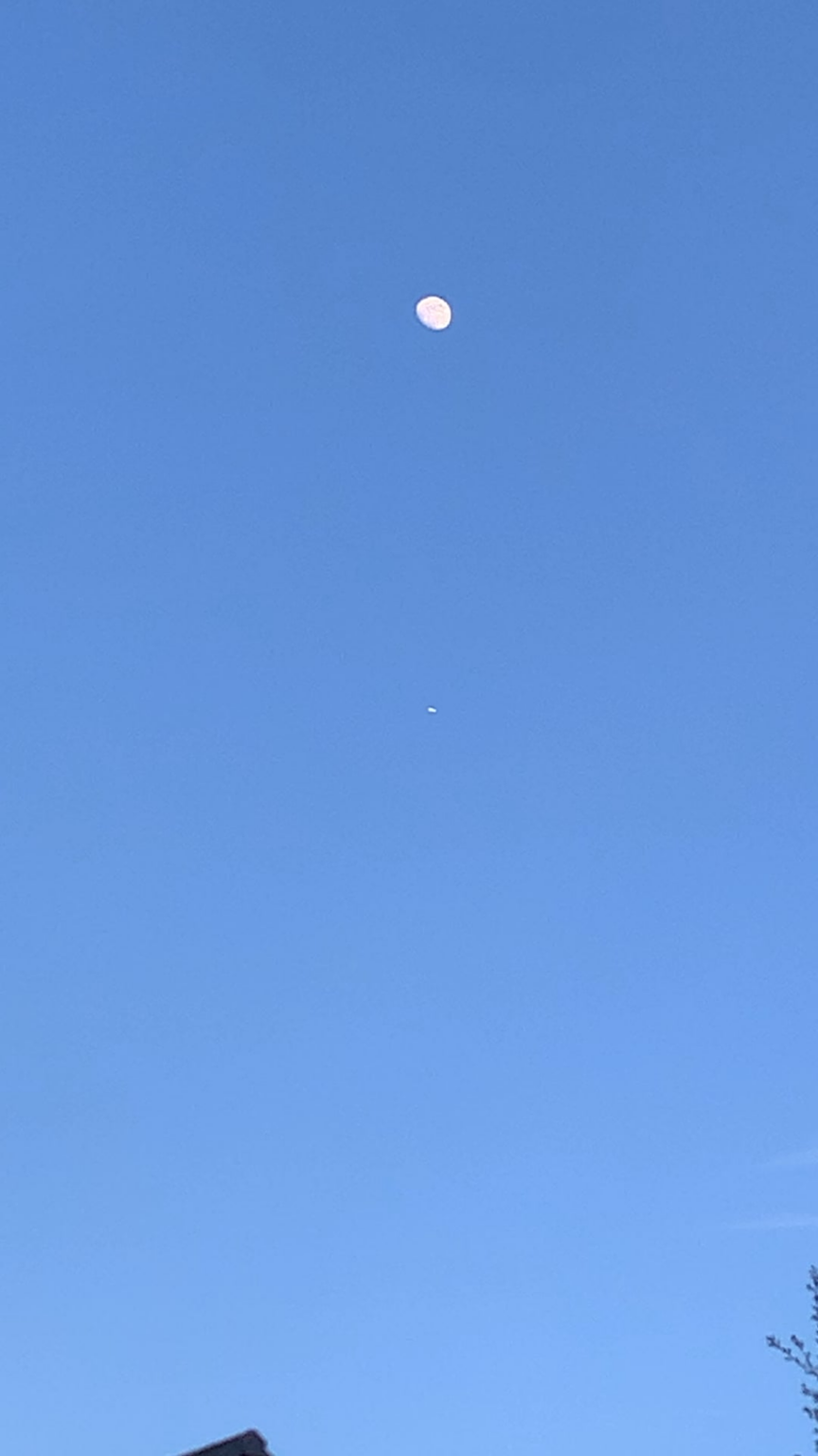 March 29, 19:21. Shrewsbury March 29, 19:21. Shrewsbury