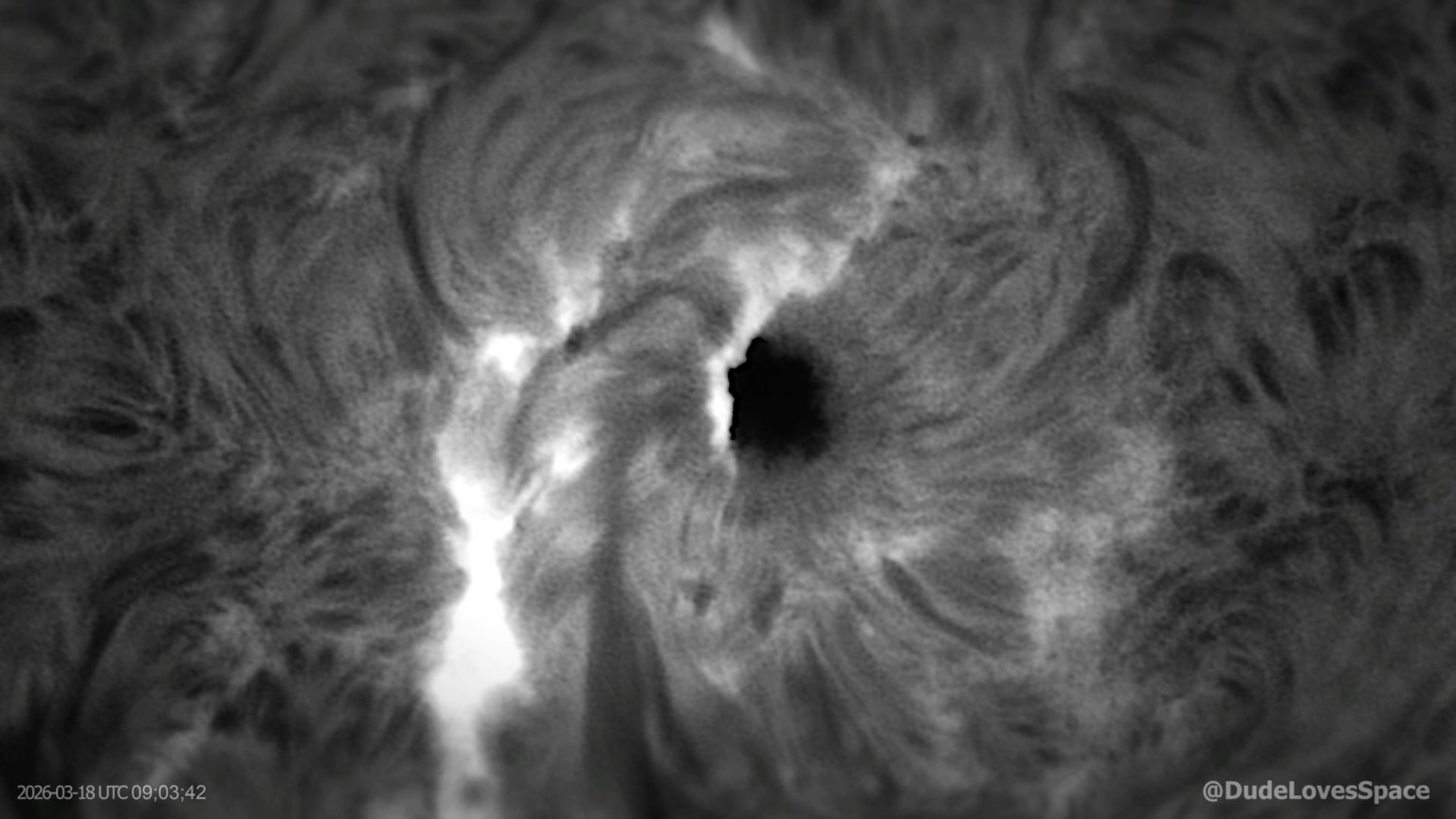 Watch and listen to Sunspot AR4392 Erupting! Captured in H-Alpha and Radio