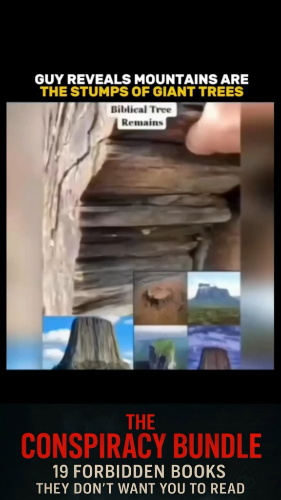 Watch as someone shows closeups of ‘mountains’ which are secretly the ossified remains of GIANT TREES from when everything was ‘larger than life’. Before ‘Honey I shrunk the kids’ was filmed. Everything has been shrunk. Even people. This isn’t just physical but also a shrinking of consciousness.