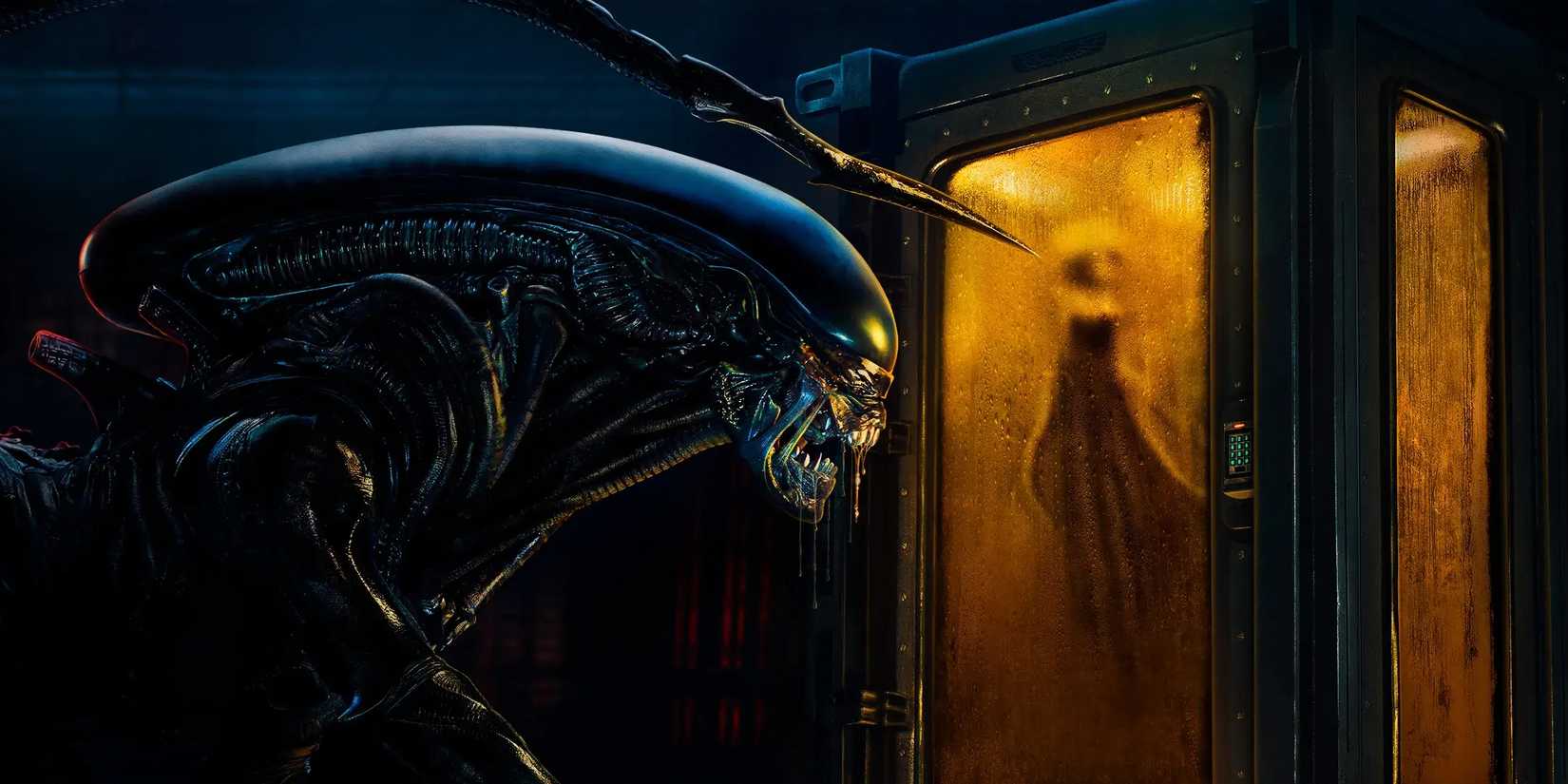 A xenomorph studies a specimen from Alien Earth