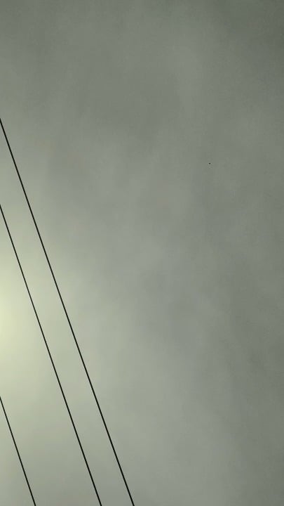 Black orb January 28