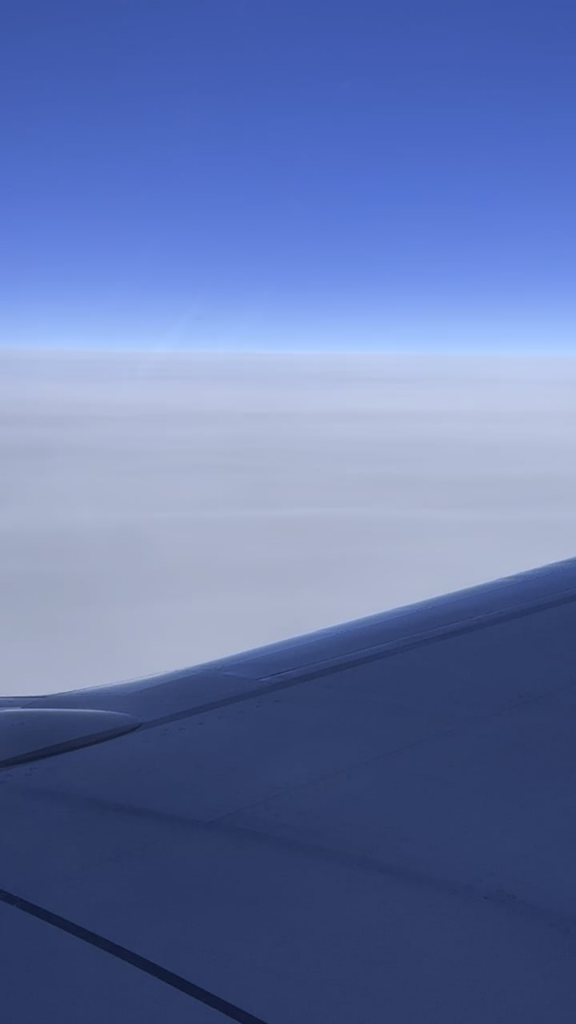 What even is this What even is this