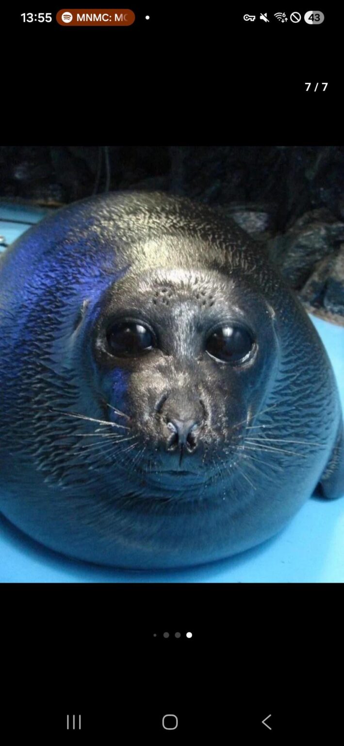 Anyone else getting the uncanny valley/Grey feeling?