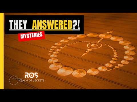 (serious) What do you think guys, have we received a response from aliens to the 1974 Arecibo message?