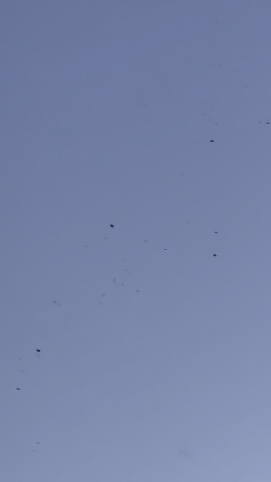 Saw this at Sundown today (03/13/26) over the Arizona Sky Part 2