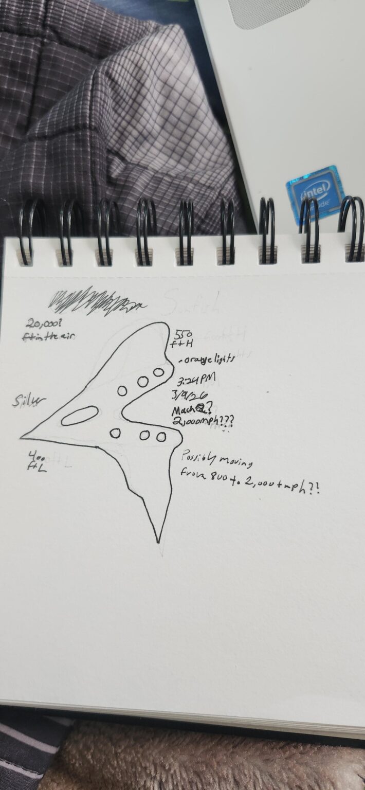 Possible Sighting? I still don't really know what to make of it