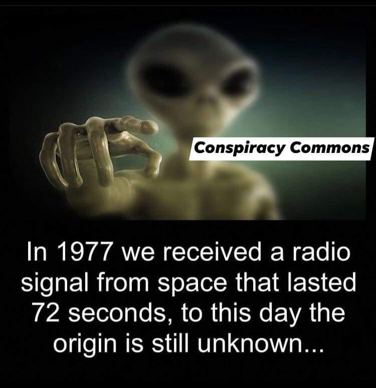 What do u think this was?