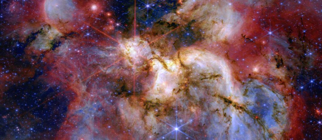 JWST revealed hidden details of W51 star formation