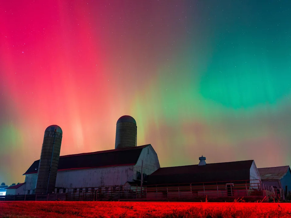 Ross Harried/NurPhoto via Getty Images - PHOTO: The Aurora Borealis lights up the night sky over Monroe, Wisconsin, on November 11, 2025.
