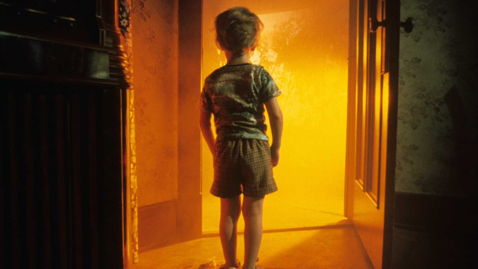Barry standing in front of a doorway with orange light coming through in Close Encounters of the Third Kind
