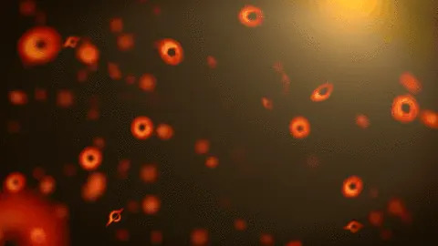 An GIF of primordial black holes in the early universe. They look like orange rings floating around.