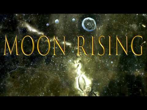 Although I don't agree with the methodology from the 1st part of this Doc, once they get to the Clementine Lunar photography, I'm kinda all in