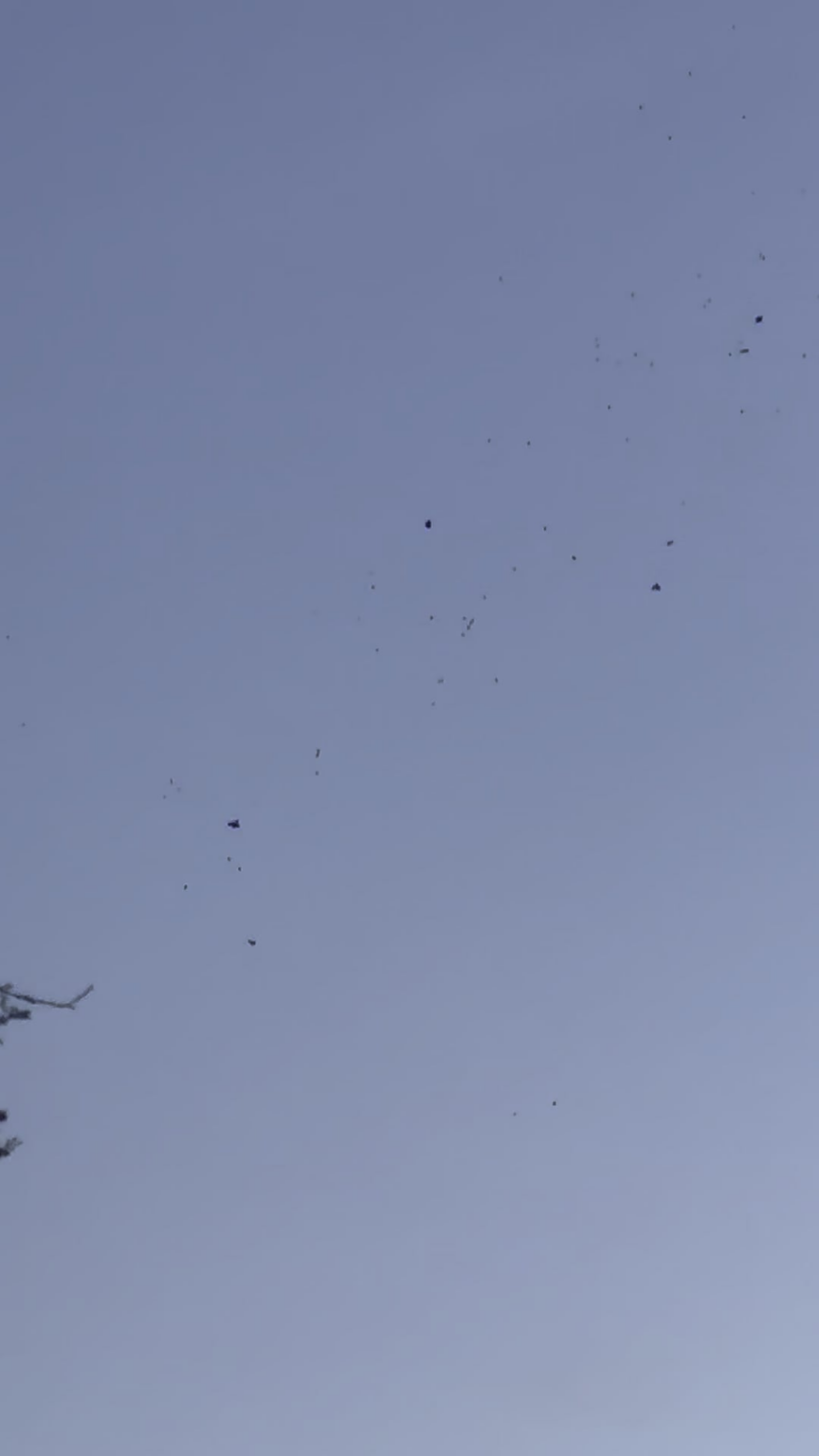 Saw this at sundown today (03/13/26) over the Arizona sky. Any ideas what this could be?