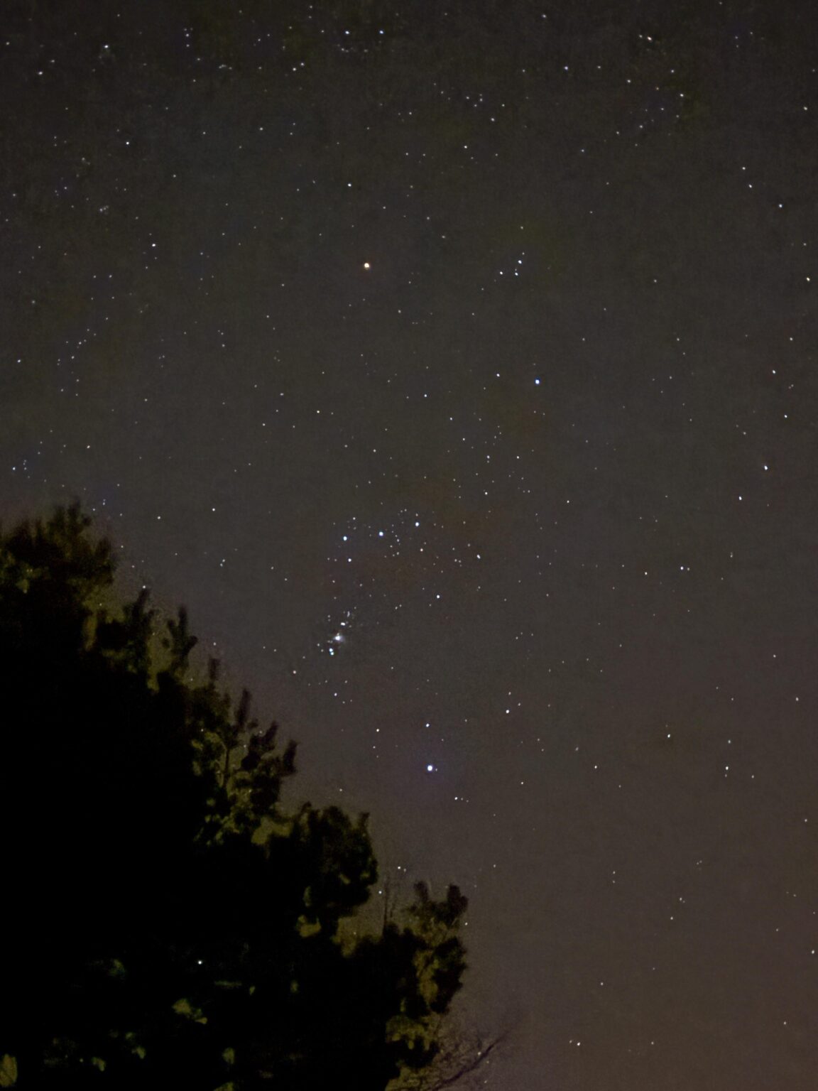 Constellation Orion.✨