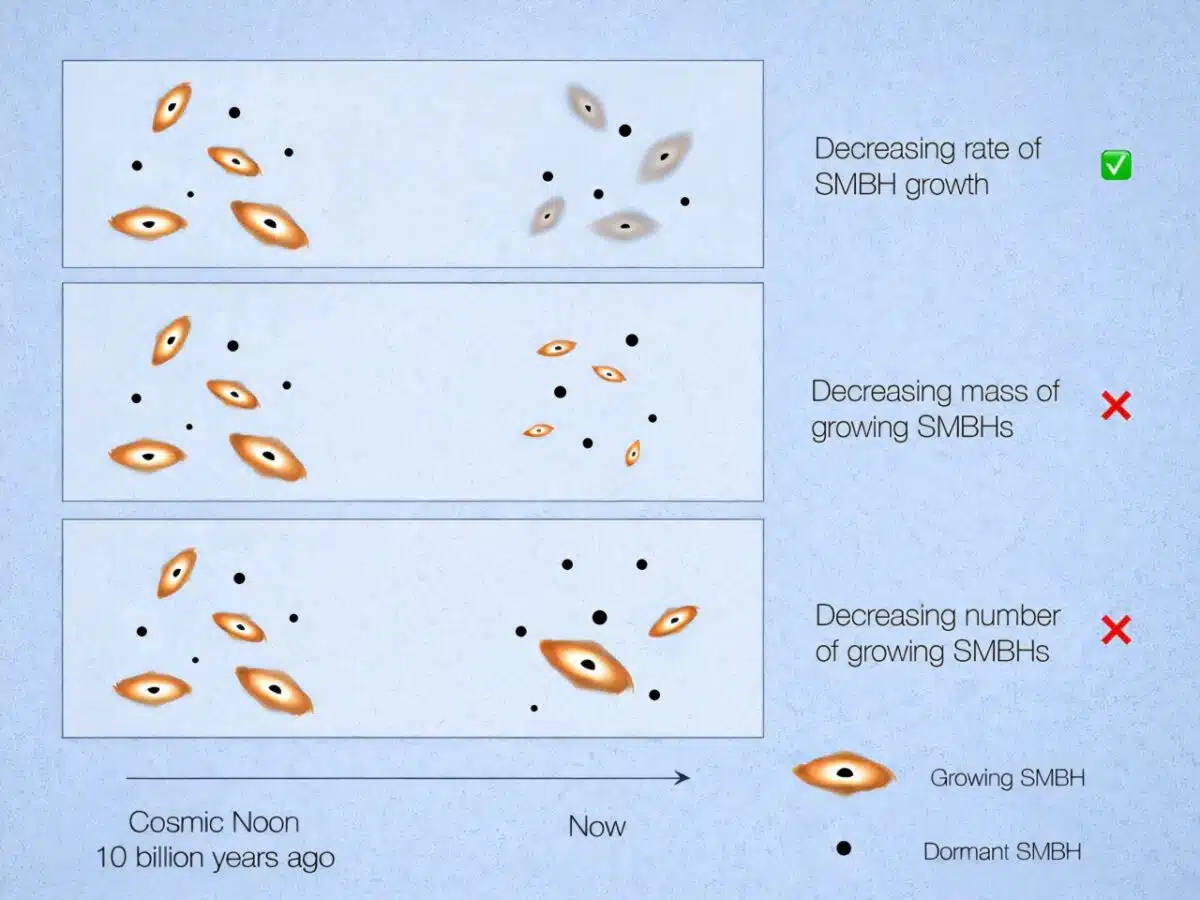 Chandra Resolves Why B 1