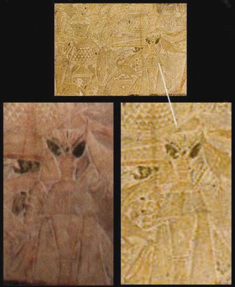 Reptilian alien on egyptian hieroglyph