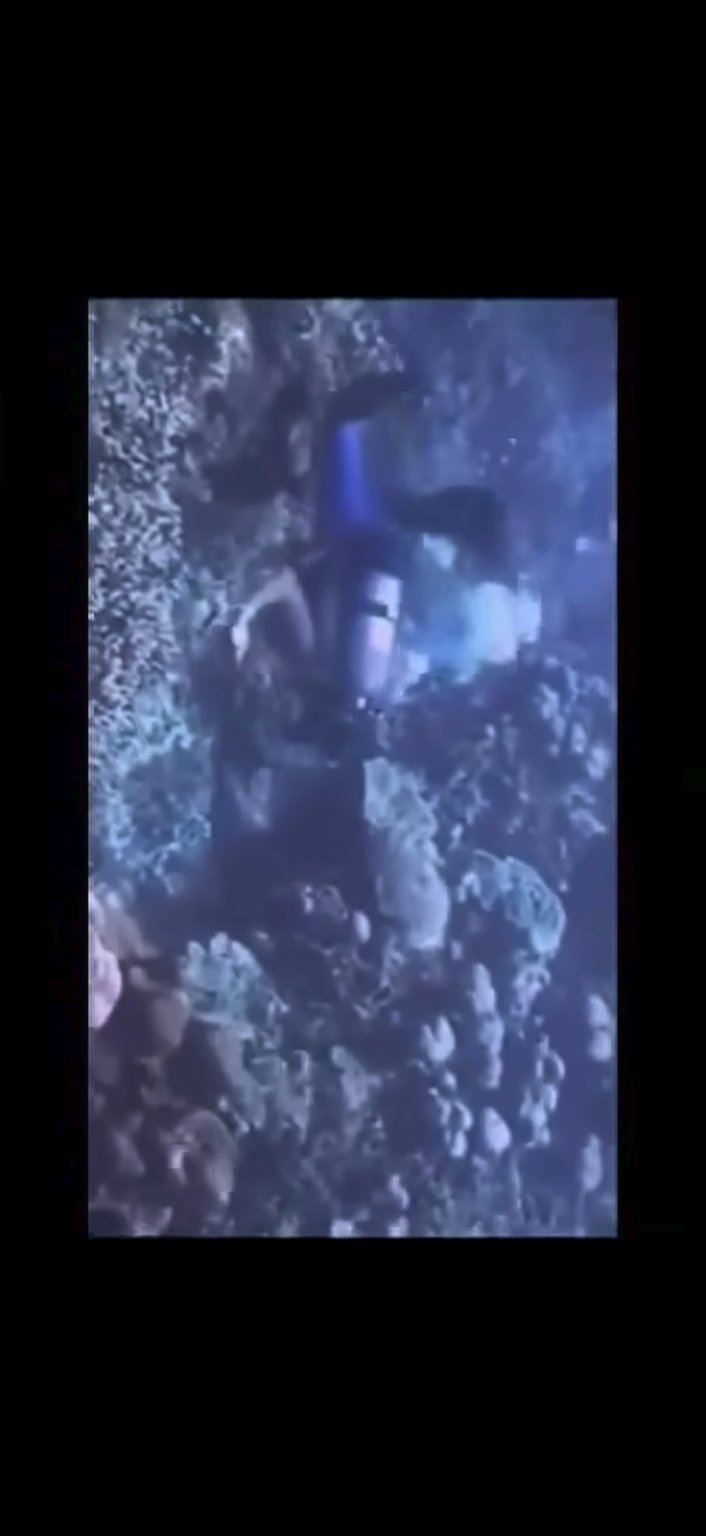 Underwater UFO (early 2000s vid)