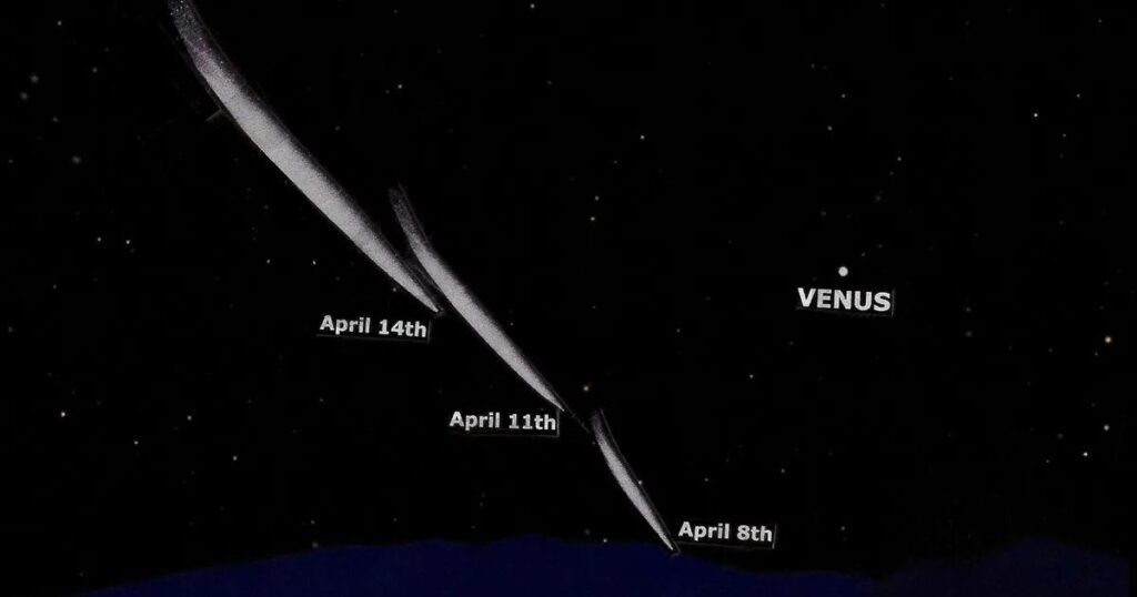 The probable direction and length of the comet's tail (Image Source: Joe Rao)