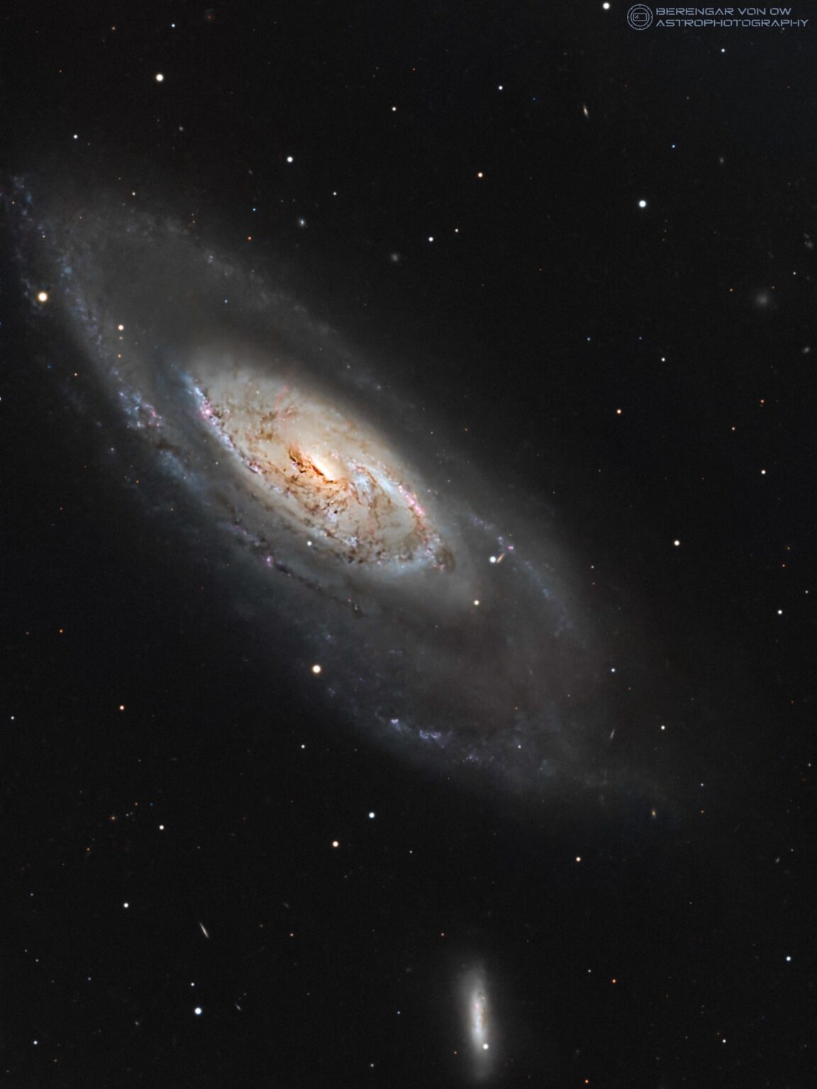 Messier 106 from my backyard