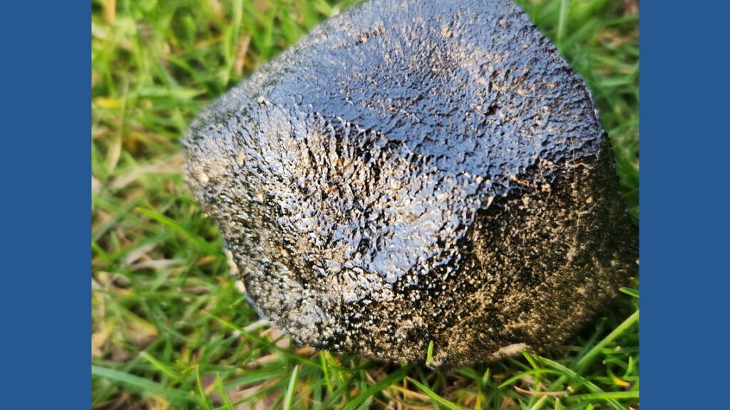 Cleveland area carpenter finds big meteorite: ‘I knew where to go from the dream’