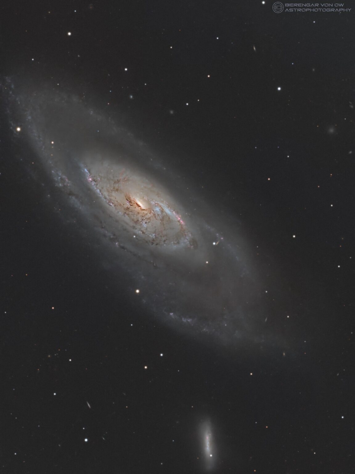 Galaxy Messier 106 from my backyard