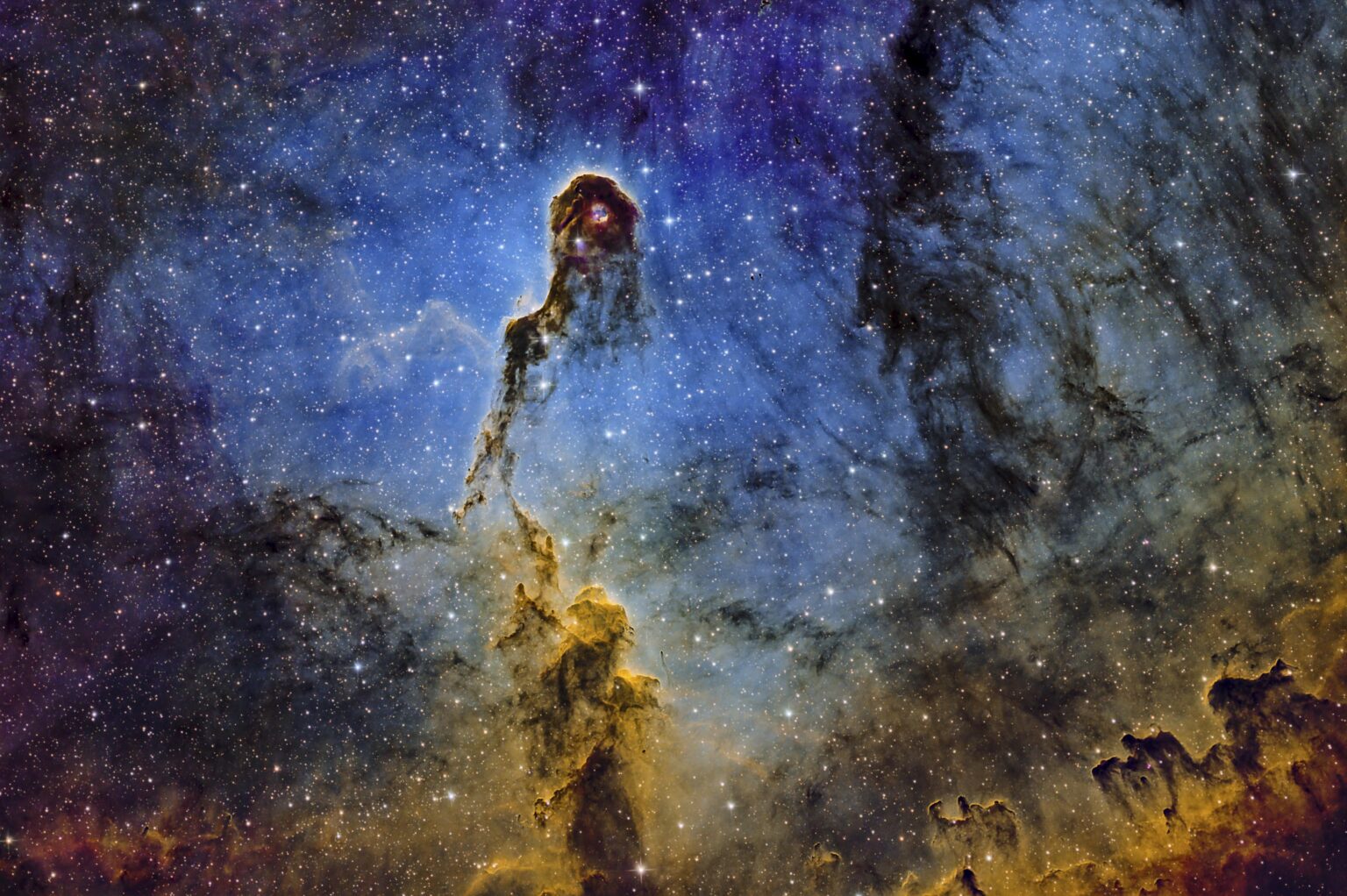 Elephant Trunk Nebula