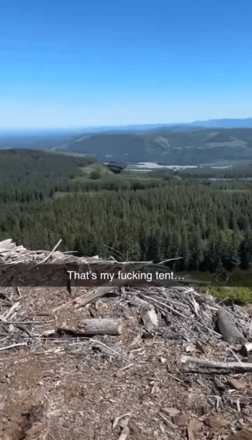 Worth investigating??