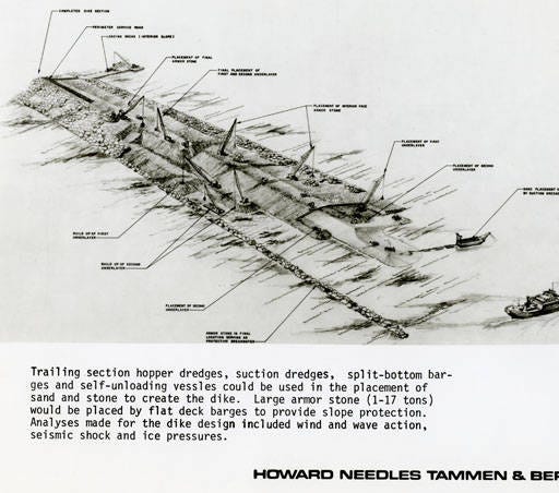 Text, Line, Organism, Parallel, Plant, Illustration, 