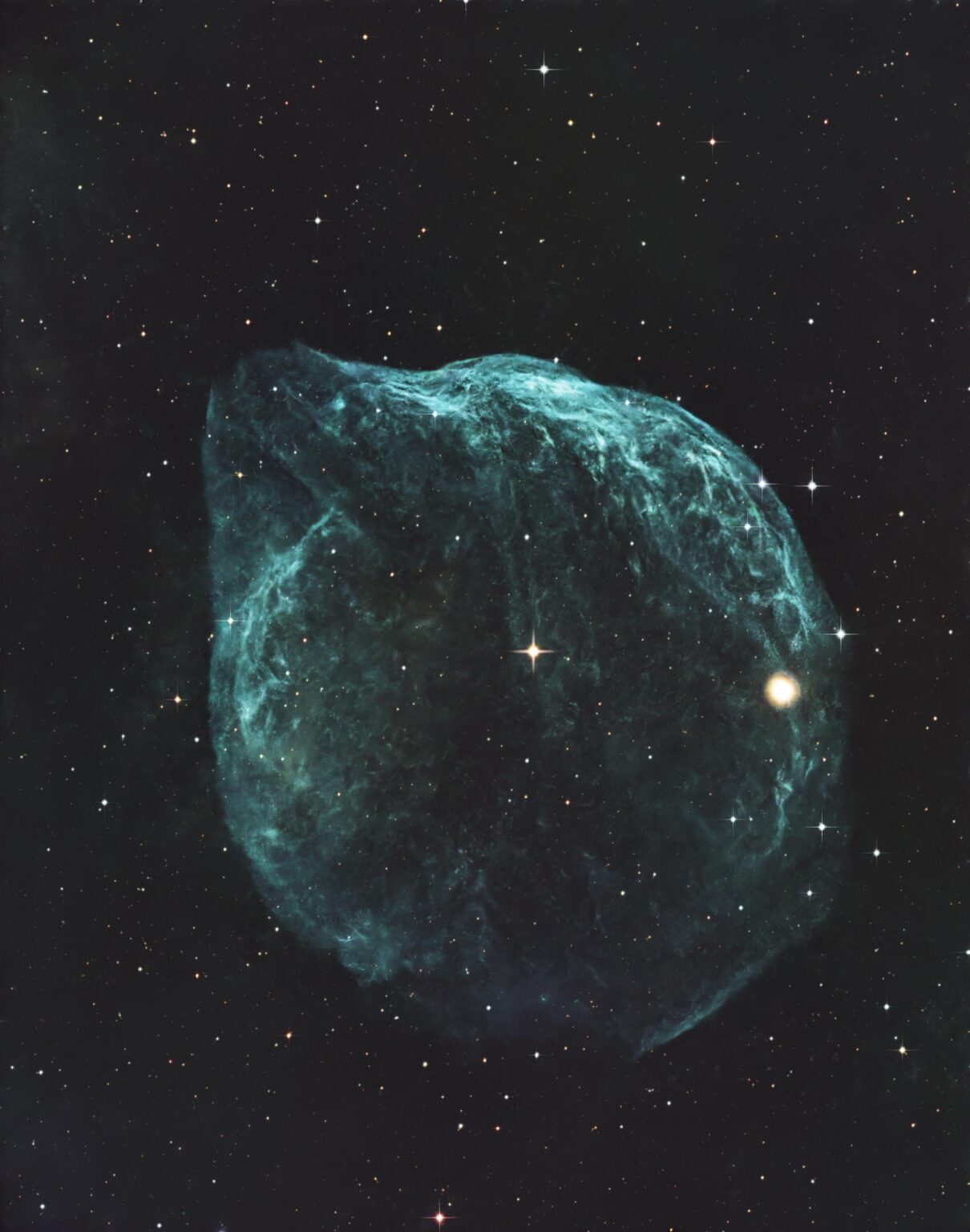 Sh 2-308-The Dolphin Head Nebula