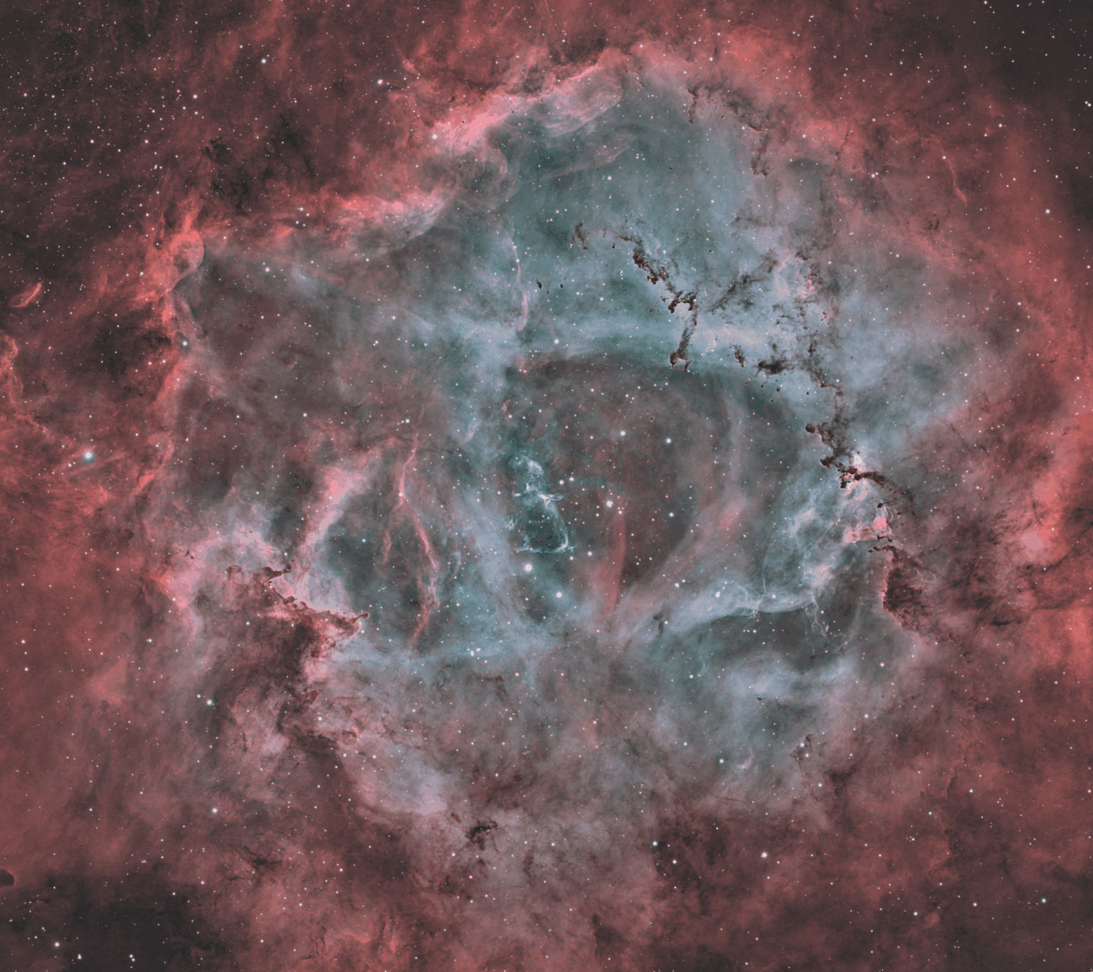 Rosette nebula HOO